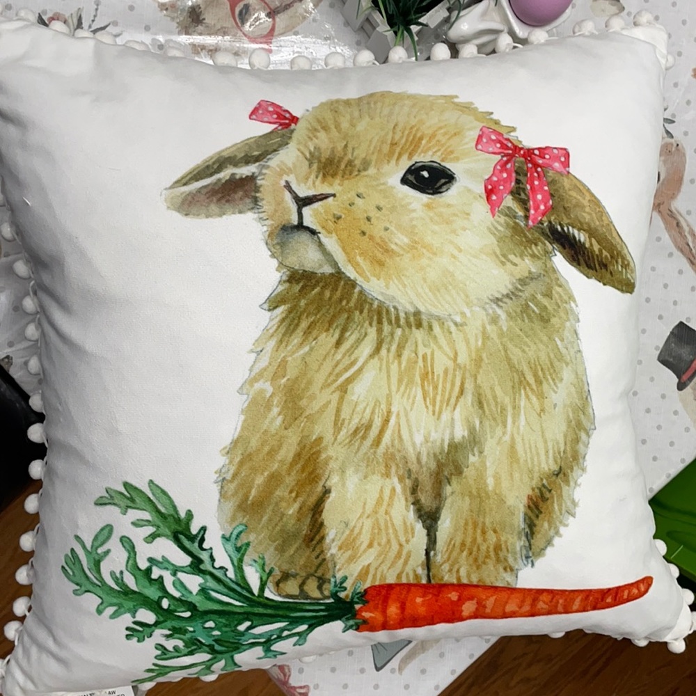 Cute bunny & carrot pillow with dark Featherfilled